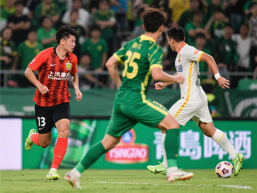 不仅展示了 不仅展示了