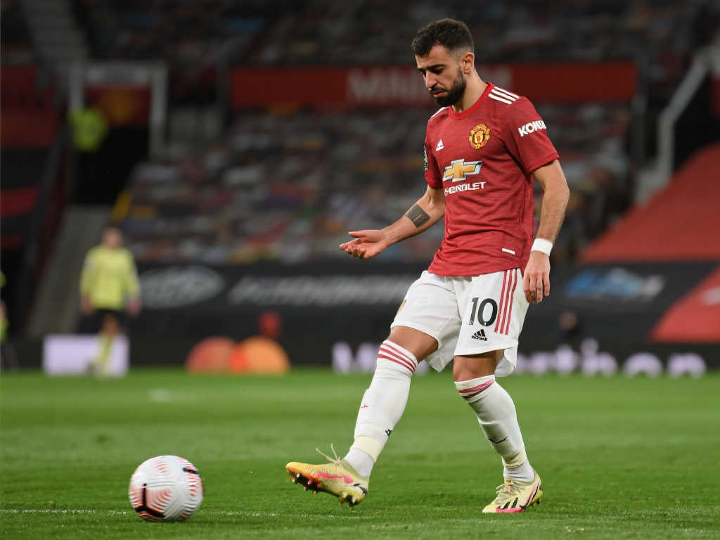 仅体现了莫 仅体现了莫